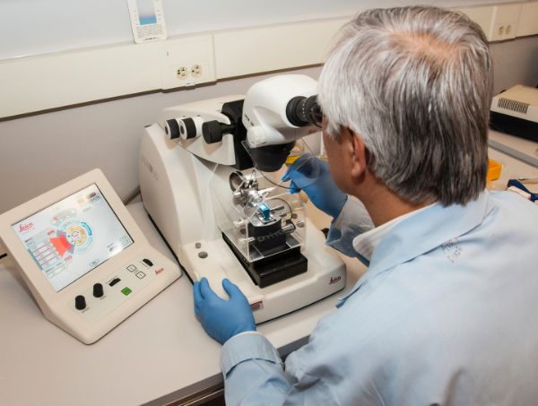What’s the difference between genotype and phenotype? What’s the difference between genotype and phenotype?