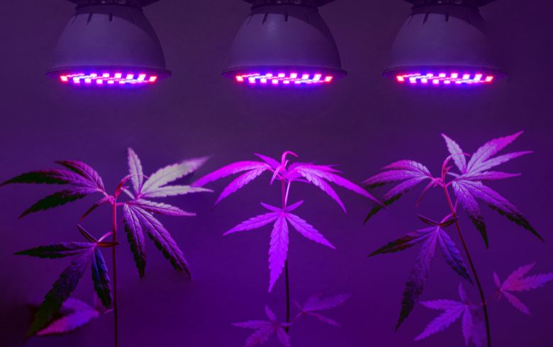 Grow Guides Grow Guides