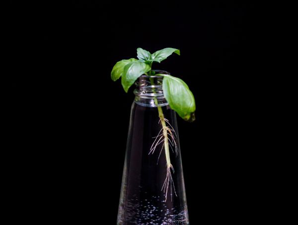 Grow Guides