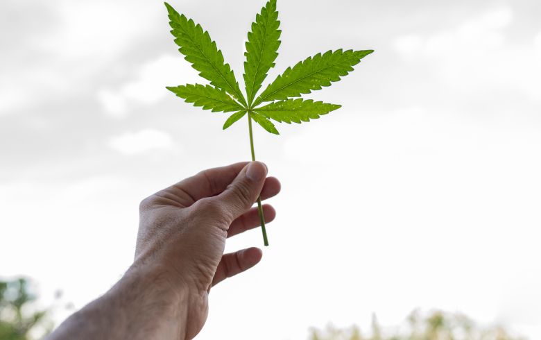 Grow Guides Grow Guides