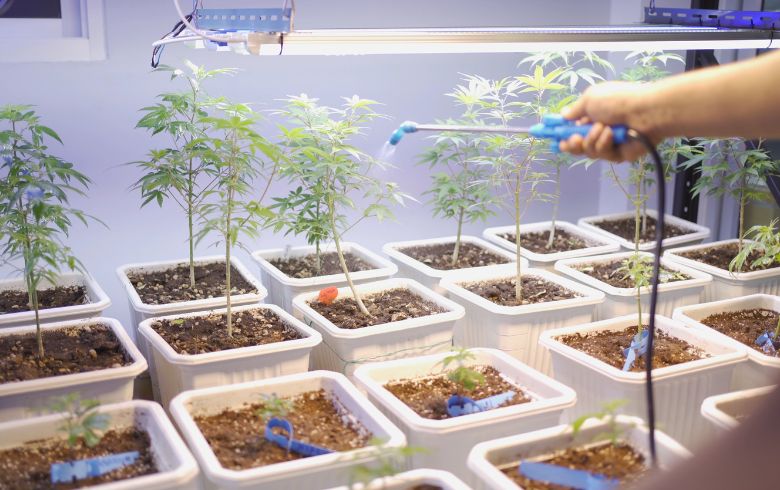 Grow Guides