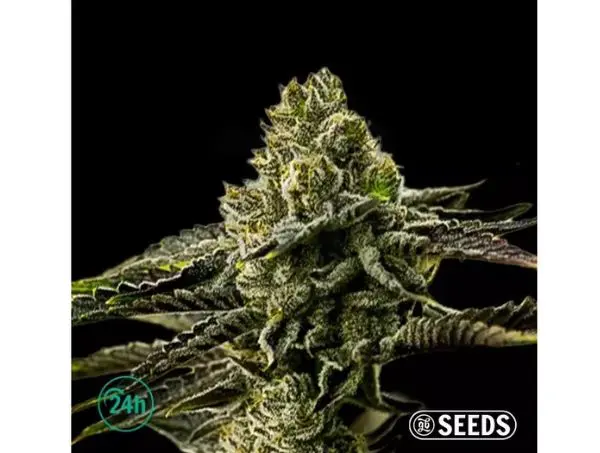 Grow Guides
