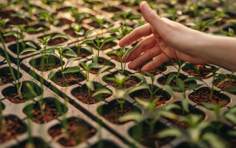 Grow Guides Grow Guides