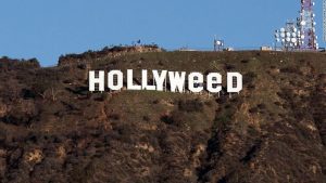 Cannabis news Cannabis news