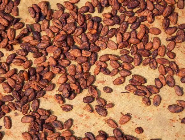 Recipes