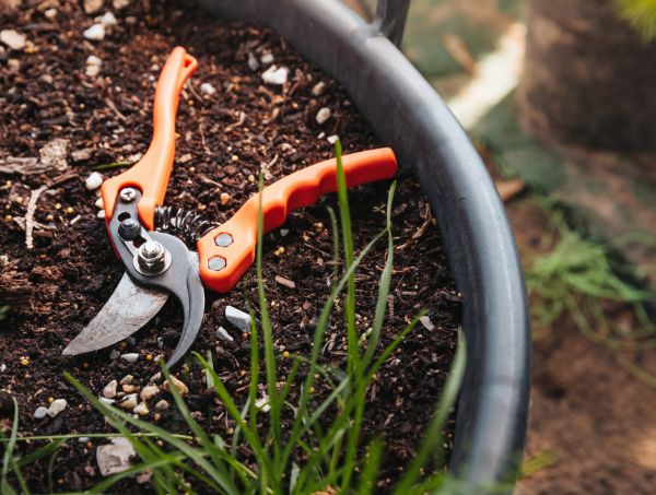 Grow Guides
