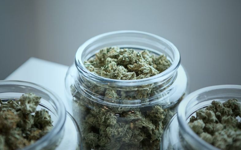 What to know about Freezing Drying Cannabis What to know about Freezing Drying Cannabis