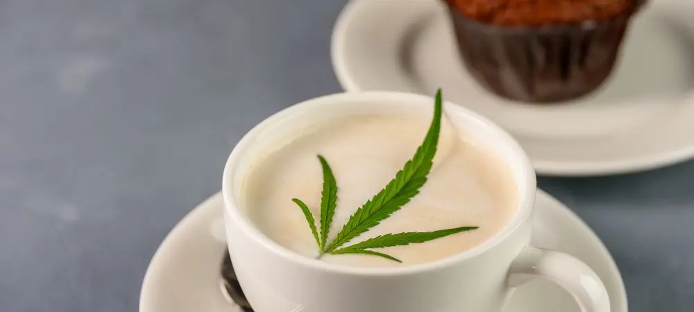 Cup of Cannabis Infusion