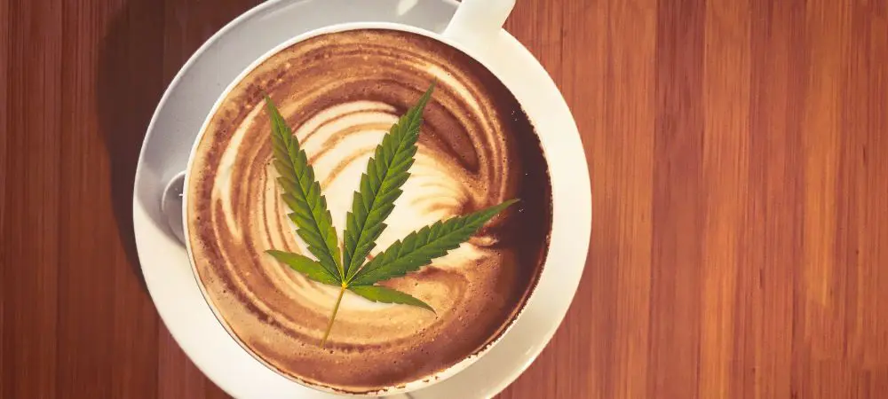 how to prepare cannabis coffee how to prepare cannabis coffee