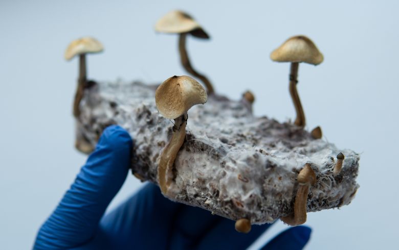 Grow Guides Grow Guides