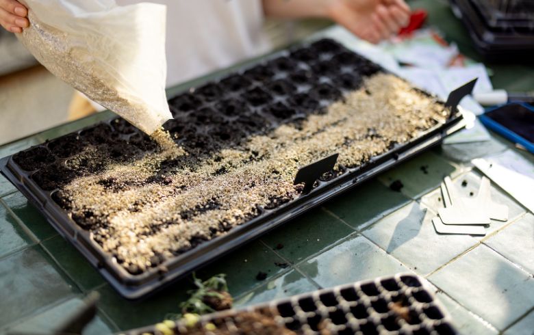 Cannabis news Cannabis news