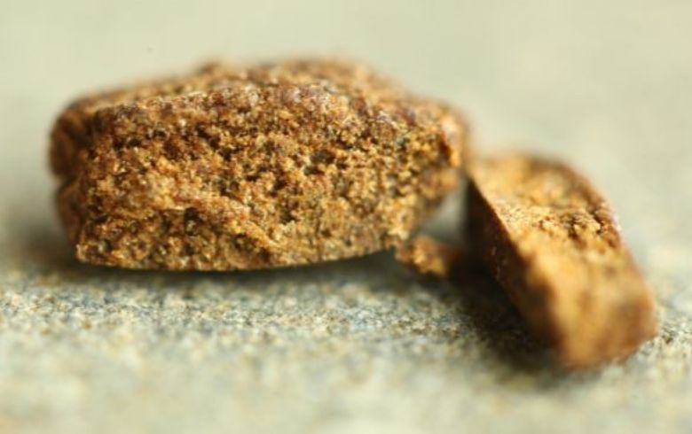 Cannabis news Cannabis news