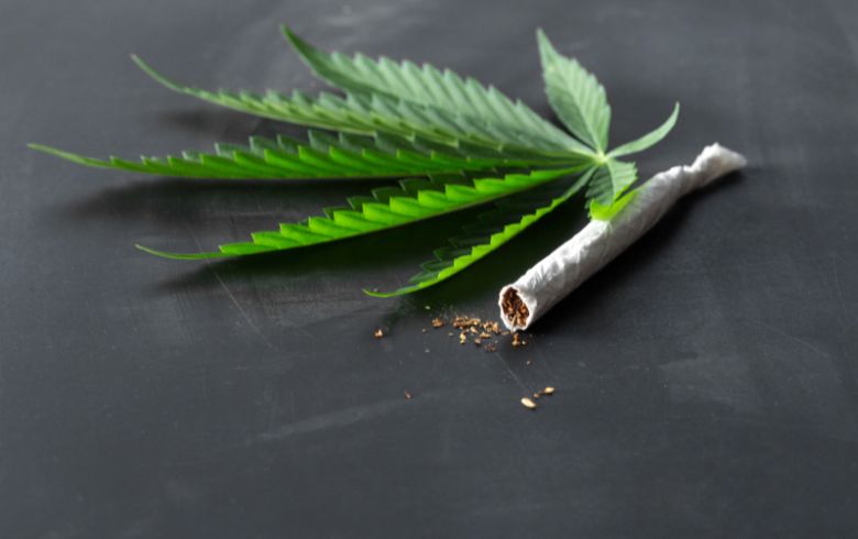 Cannabis news Cannabis news