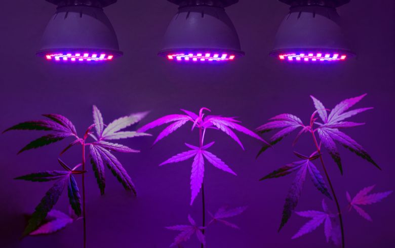 Grow Guides Grow Guides