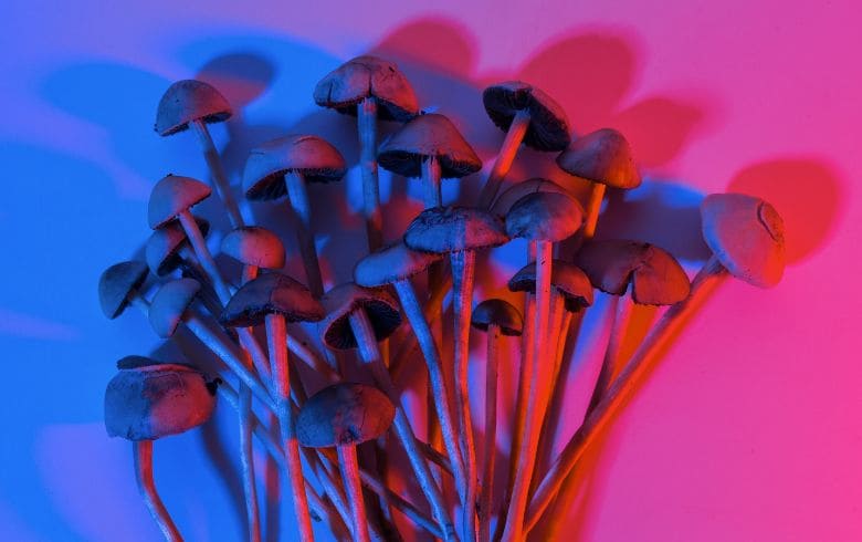 Cannabis news Cannabis news