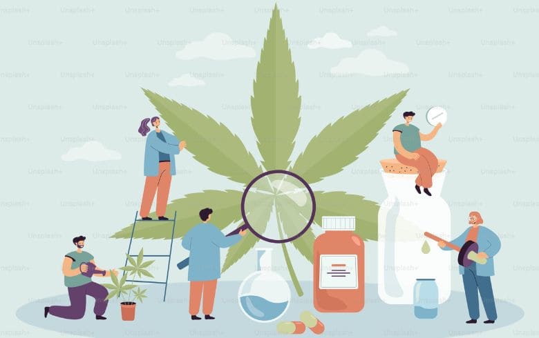 Cannabis news Cannabis news