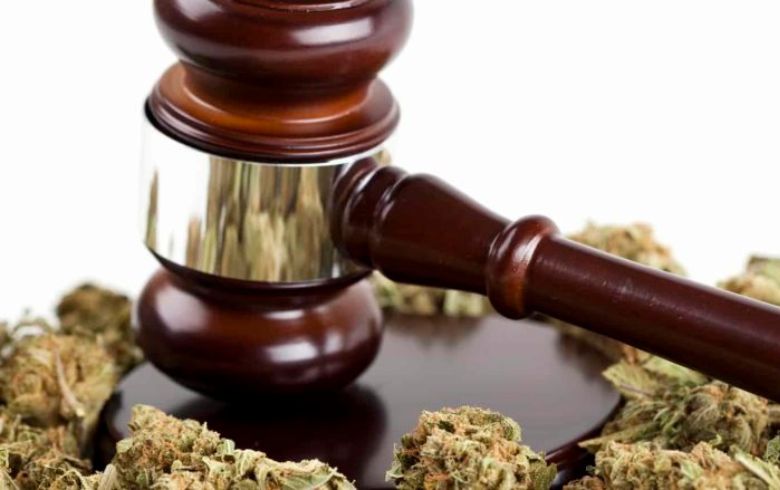 Cannabis news Cannabis news
