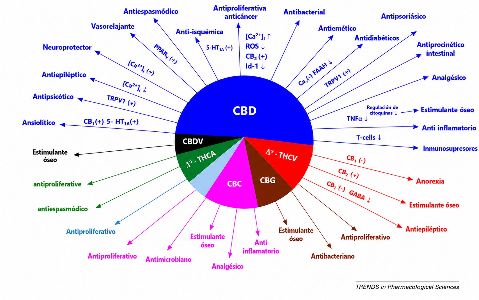 Medical Marijuana