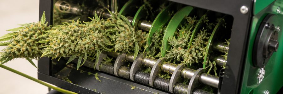 Dry vs. wet bud trimmer: which one to choose
