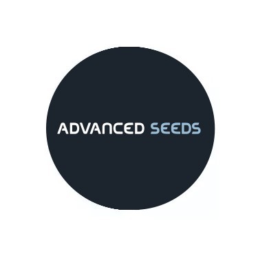 Advanced Seeds Autoflowering