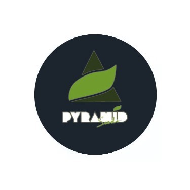 Pyramid Seeds Feminized