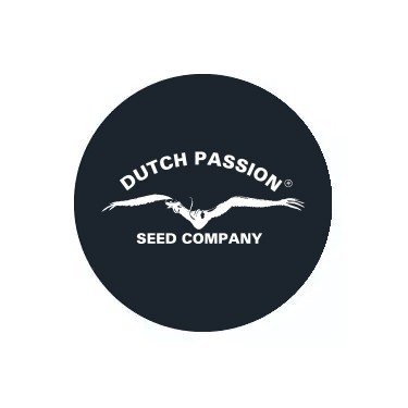 Dutch Passion Auto
