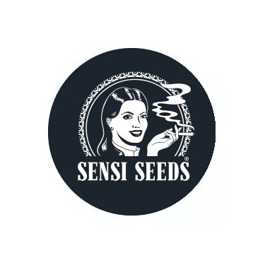 Sensi Seeds Regular