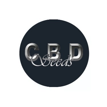 CBD Feminized Seeds