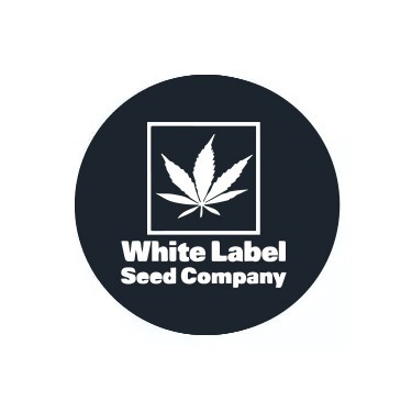White Label Regular
