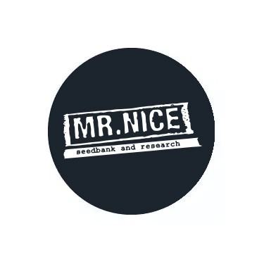 Mr. Nice Seed Bank Regular