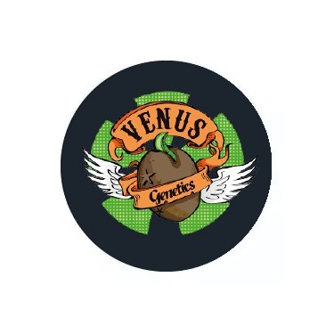 Venus Genetics Feminized Seeds