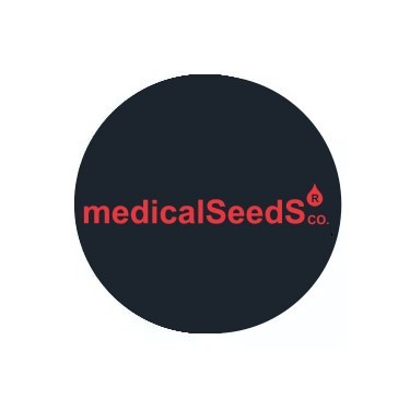 Medical Seeds Regular