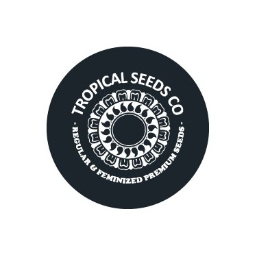 Tropical Seeds Co. Fem