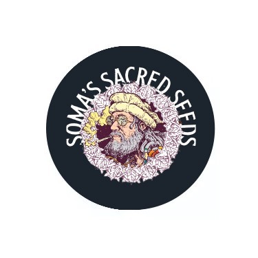 Soma Seeds Feminized 