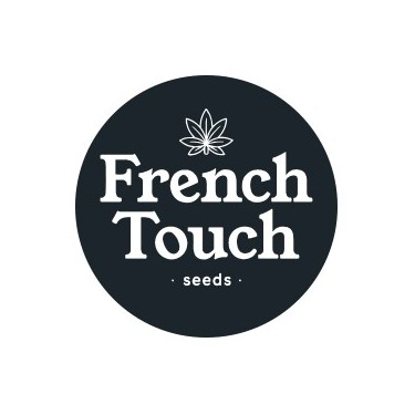 French Touch Seeds Regular
