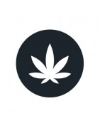 CBD Flower