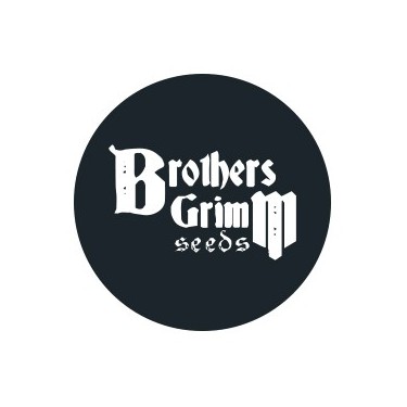 Brothers Grimm Seeds Regular