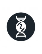 Zkittlez strains