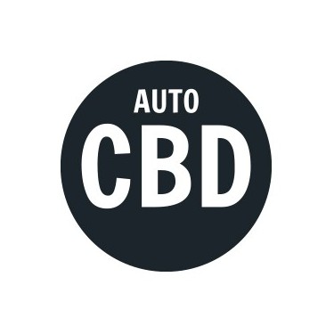 CBD Autoflower Seeds