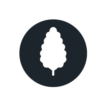 Productive Cannabis Seeds