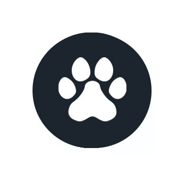 CBD for Pets