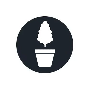 Flowering Fertilizers