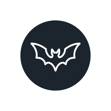 Bat Guano