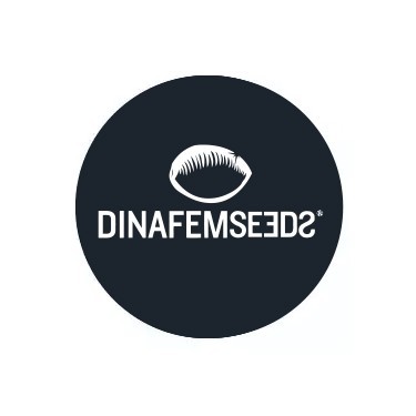 Dinafem Auto