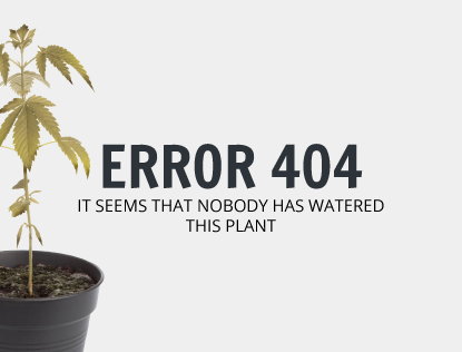 404 Mobile