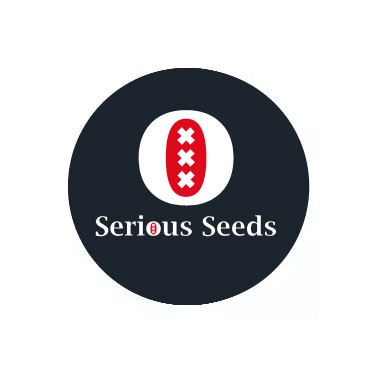 Serious Seeds Auto