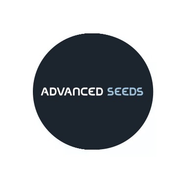 Advanced Seeds Autoflowering Seeds
