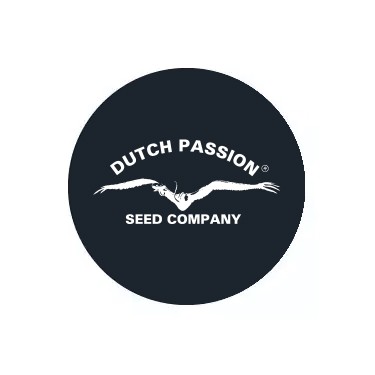 Dutch Passion Auto