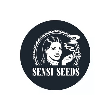 Sensi Seeds Autoflowering