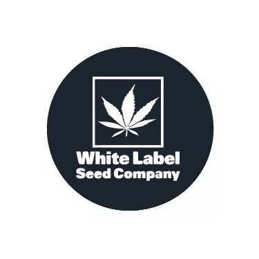 White Label Seeds Feminized
